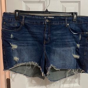 TORRID Denim Shorts